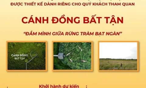 Tour du lịch Cánh Đồng Bất Tận - Đắm mình giữa rừng tràm bạt ngàn