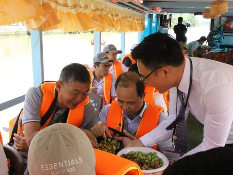 Về Long An xuôi đôi dòng Vàm Cỏ