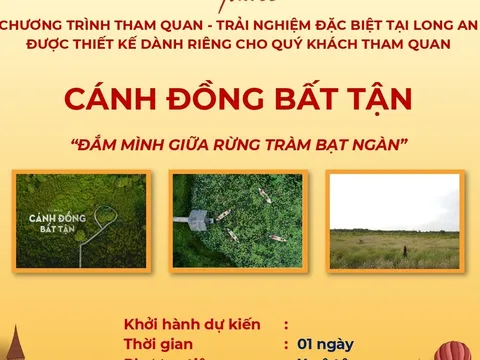 Tour du lịch Cánh Đồng Bất Tận - Đắm mình giữa rừng tràm bạt ngàn